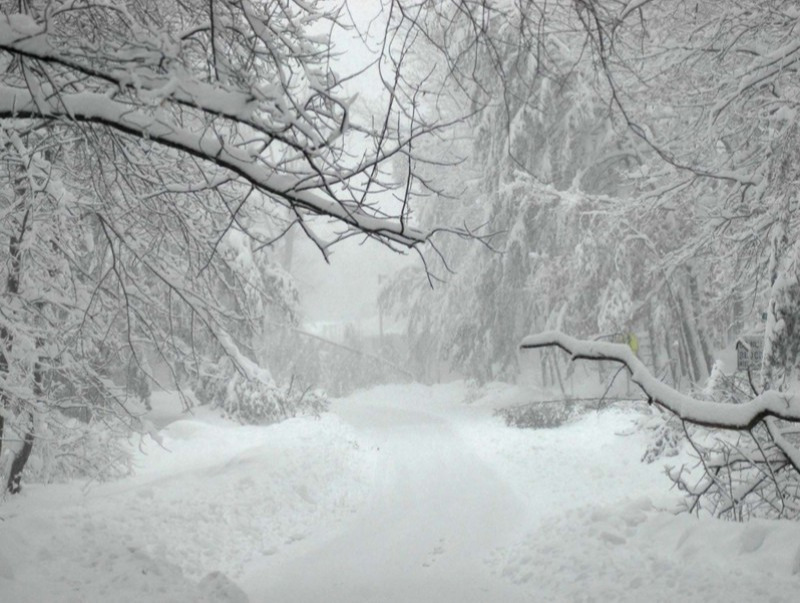 Ирэх хоёрдугаар сарын цаг агаарын ерөнхий төлөв